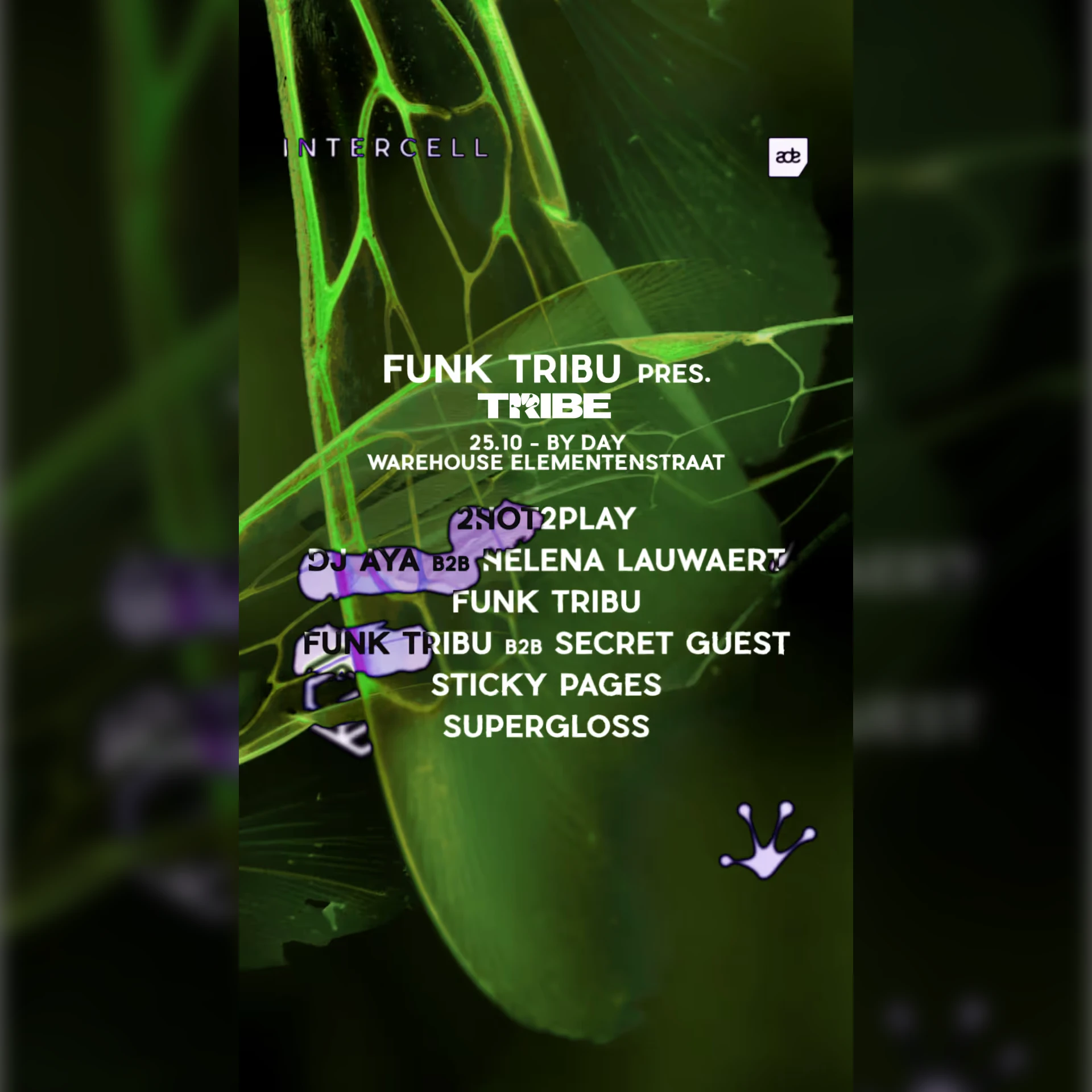 Intercell x Funk Tribu pres. TRIBE - ADE By Day