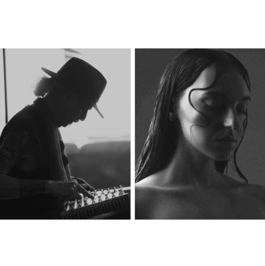 Bahramji & Medusa Odyssey (Live), Reallms