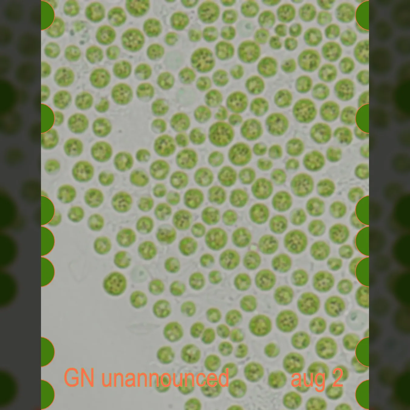 Garage Noord unannounced + The Unktion: 1 year in reality