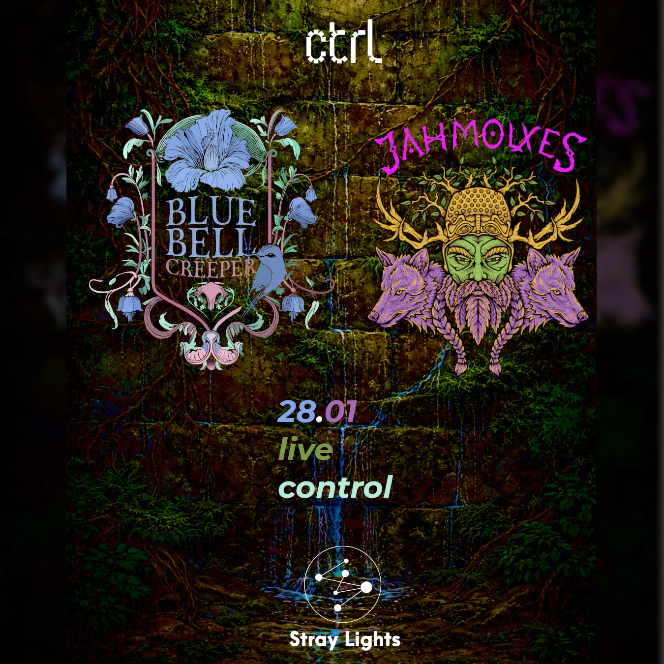 Stray Lights Showcase: Bluebell Creeper & Jahmolxes