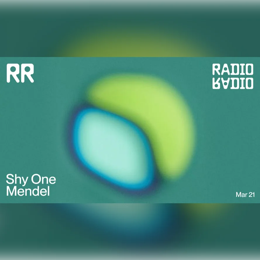 Shy One • Mendel