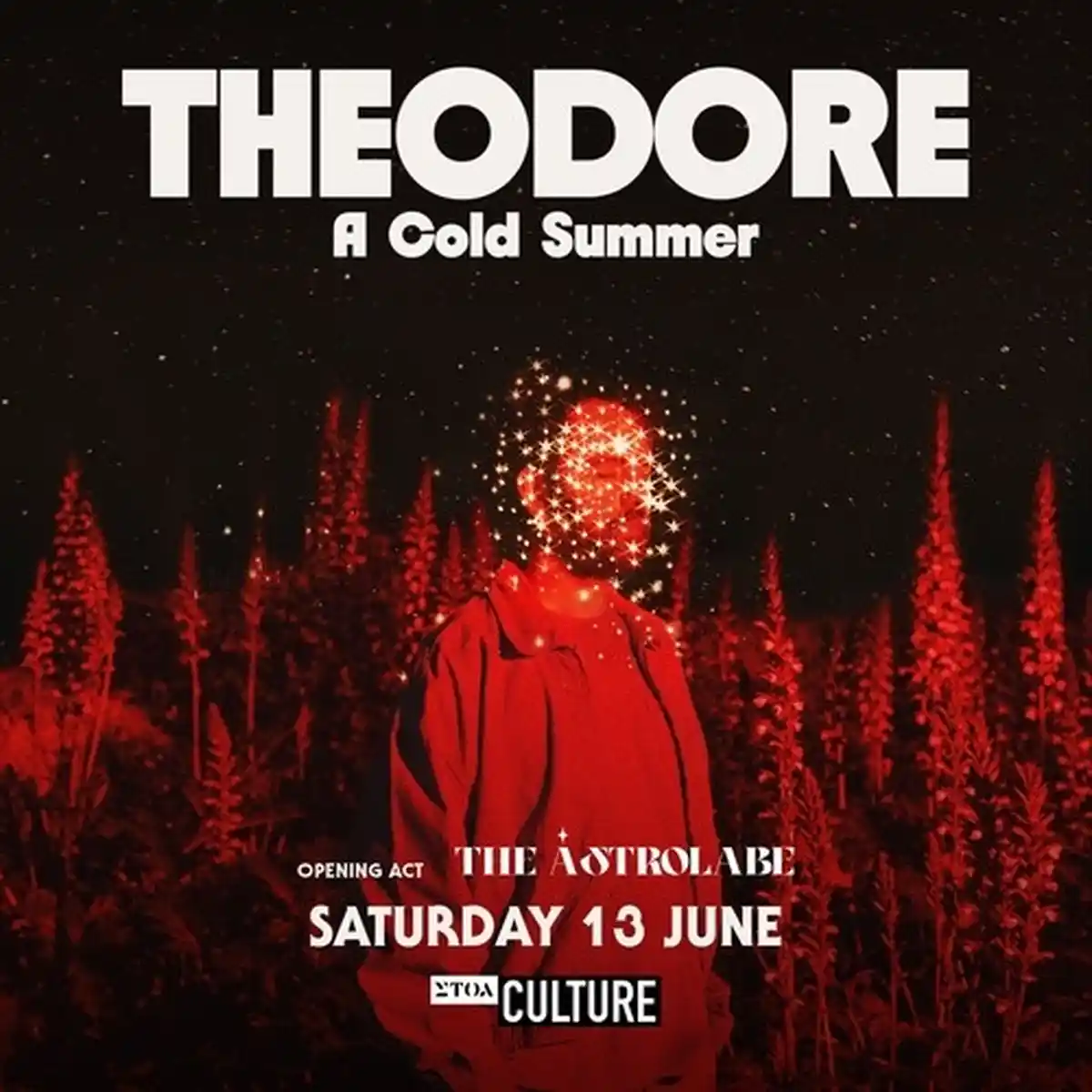 Theodore - A Cold Summer