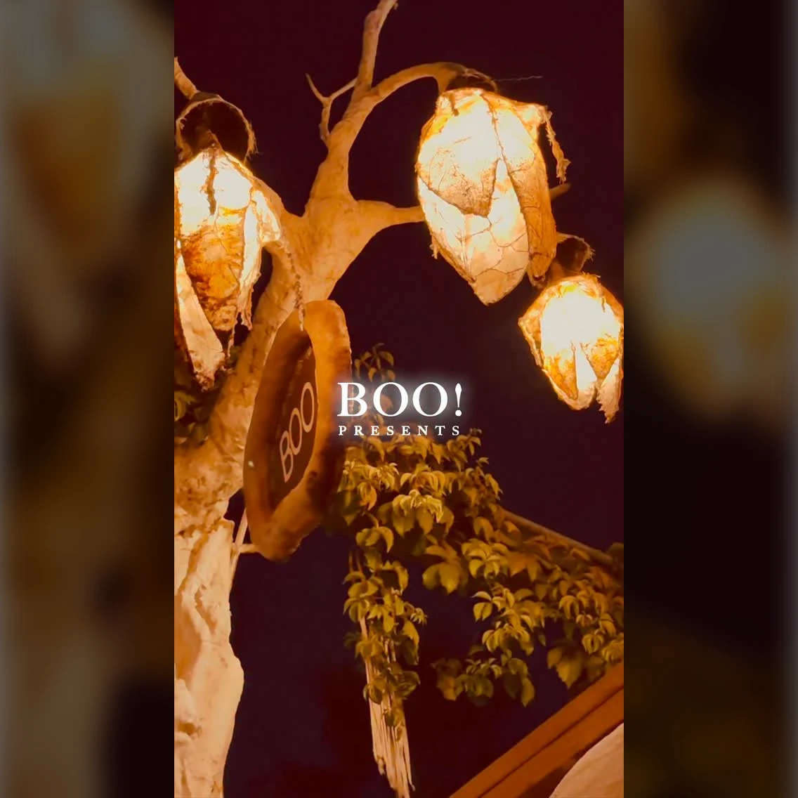 In the vortex of the Club