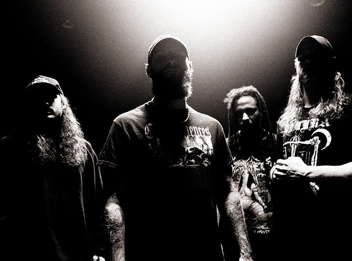 Heavy//Hitter + Deeproot