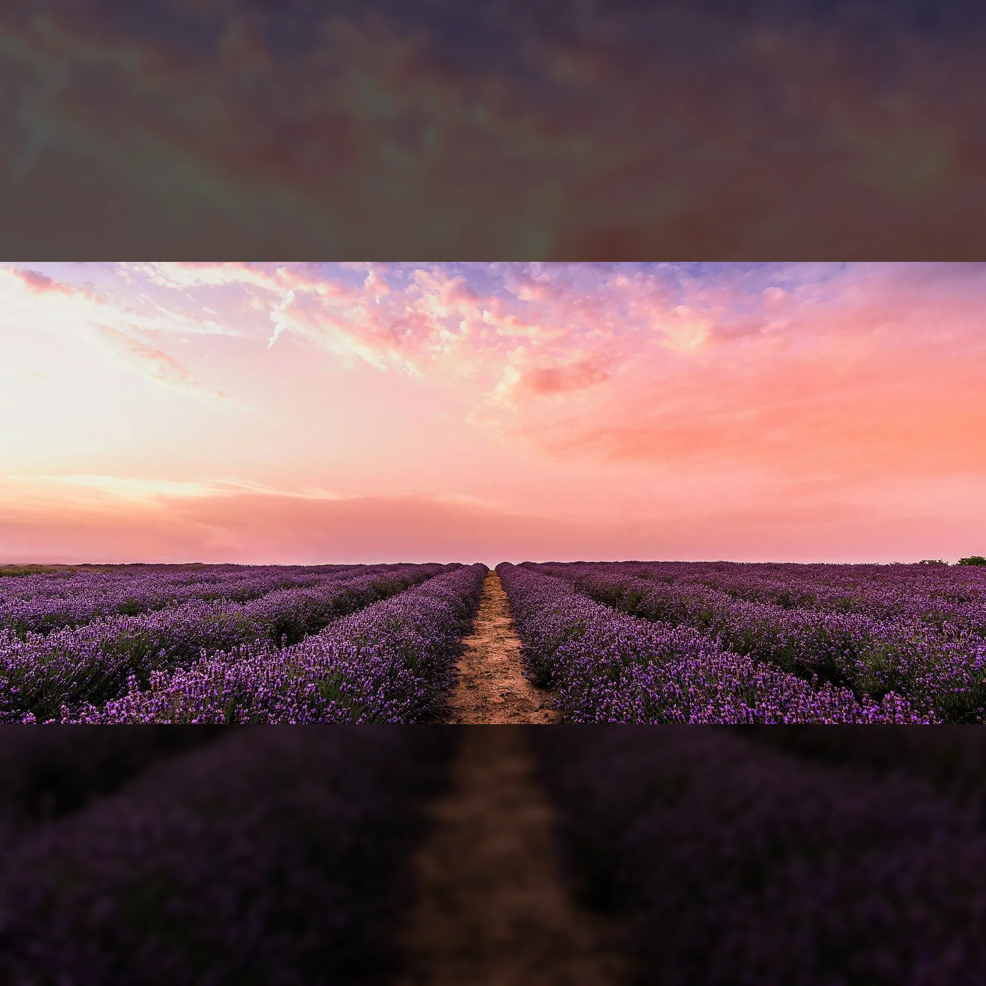 Proms: The Four Seasons Recomposed