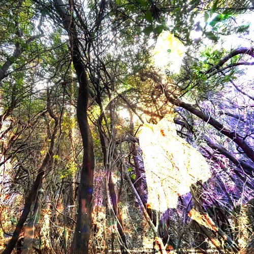 “Dave De Rose presents…” #7