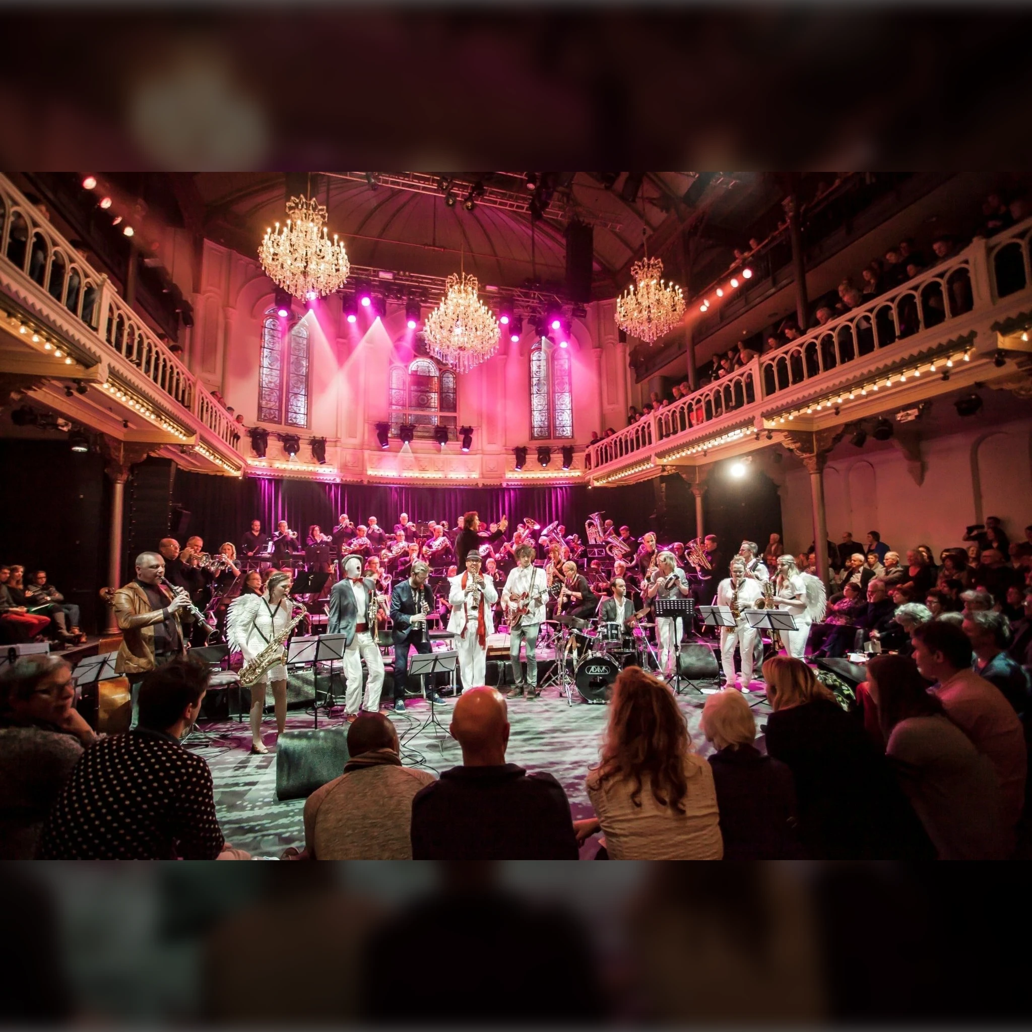 Paradiso Orchestra -Kerstmatinee 2025: Paradijsvogels