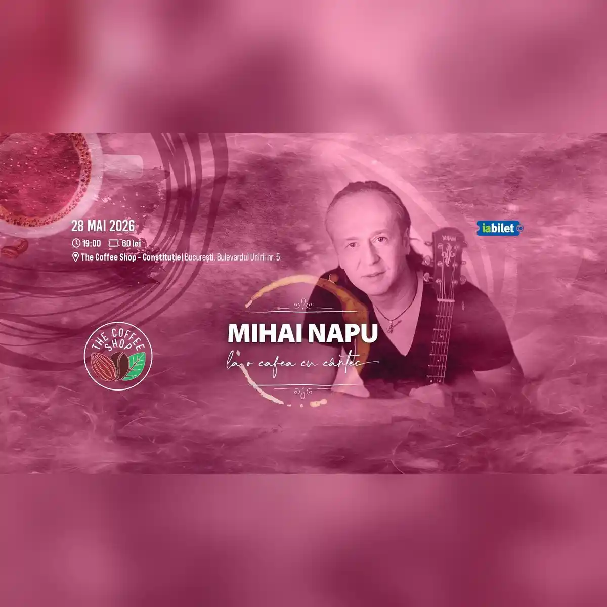 Concert MIHAI NAPU