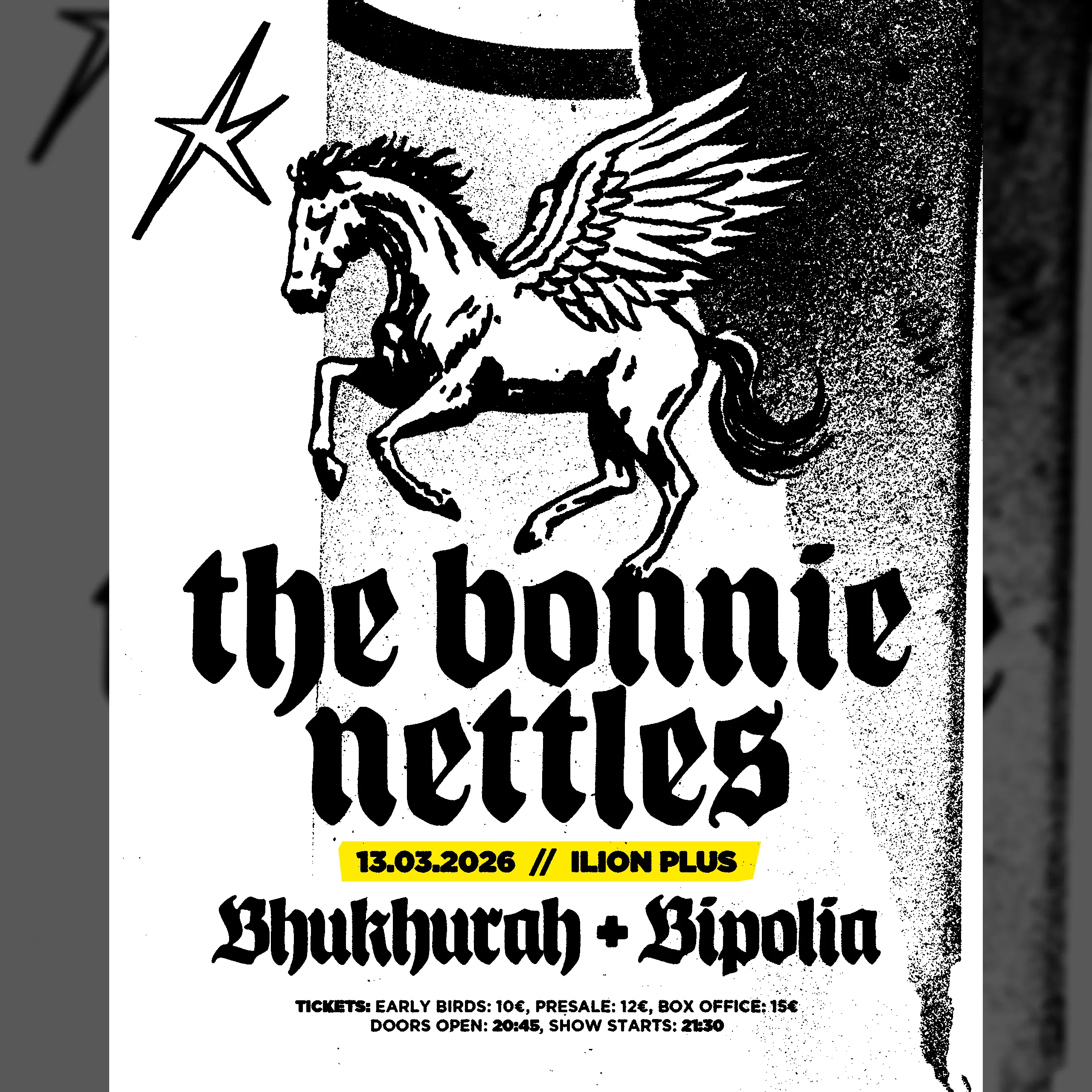The Bonnie Nettles