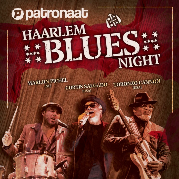 Haarlem Blues Night