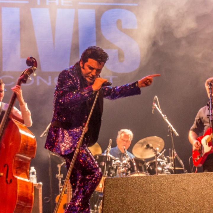 The Elvis Concert