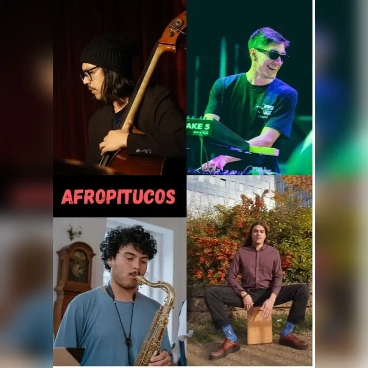 AFROPITUCO
