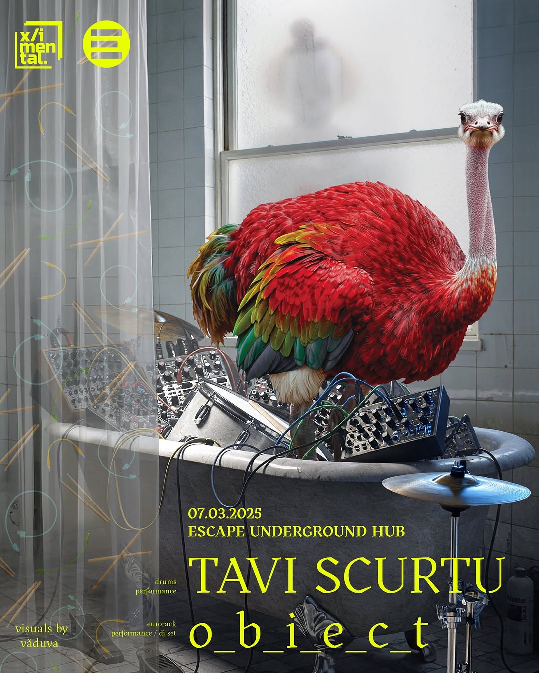 TAVI SCURTU & o_b_i_e_c_t