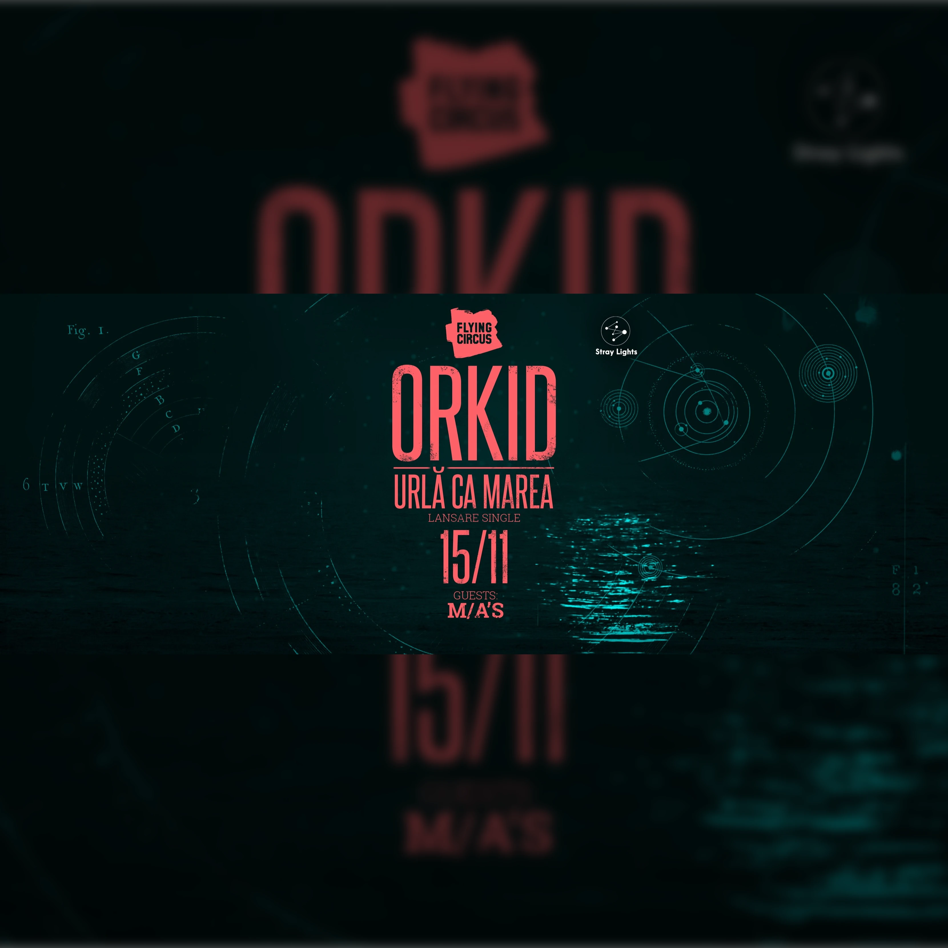 Orkid (single release) 