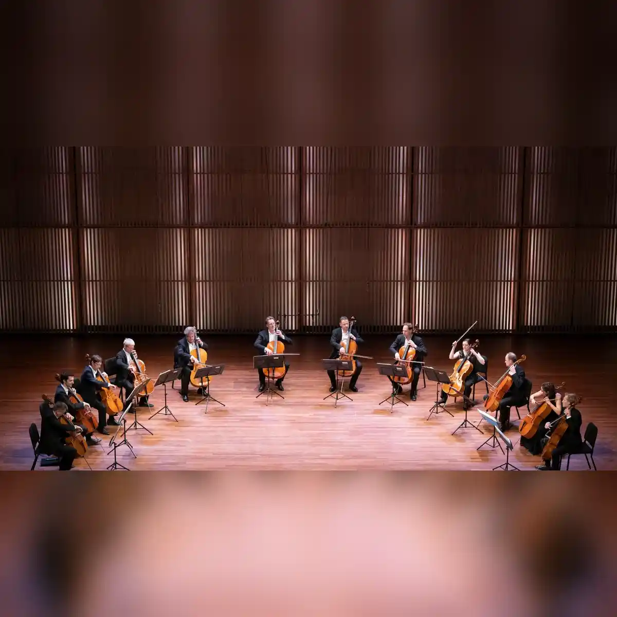 Die 12 Cellisten der Berliner Philharmoniker