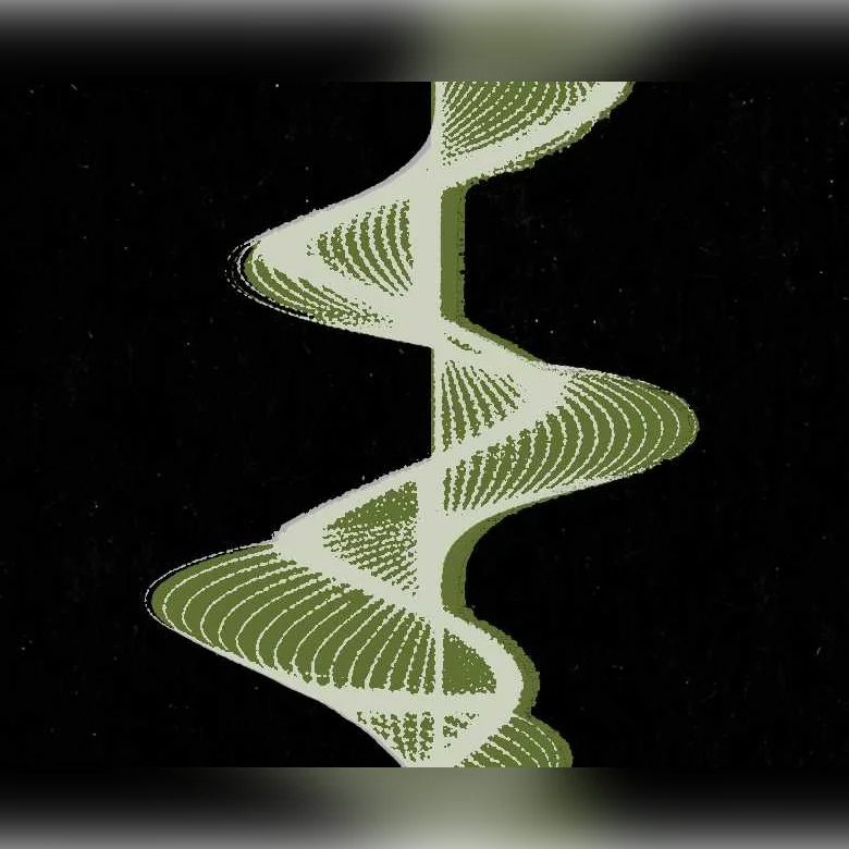 𝓝𝓐𝓐𝓡  ✮ AVER ✮ Monica Mussungo ✮ Lily Haz