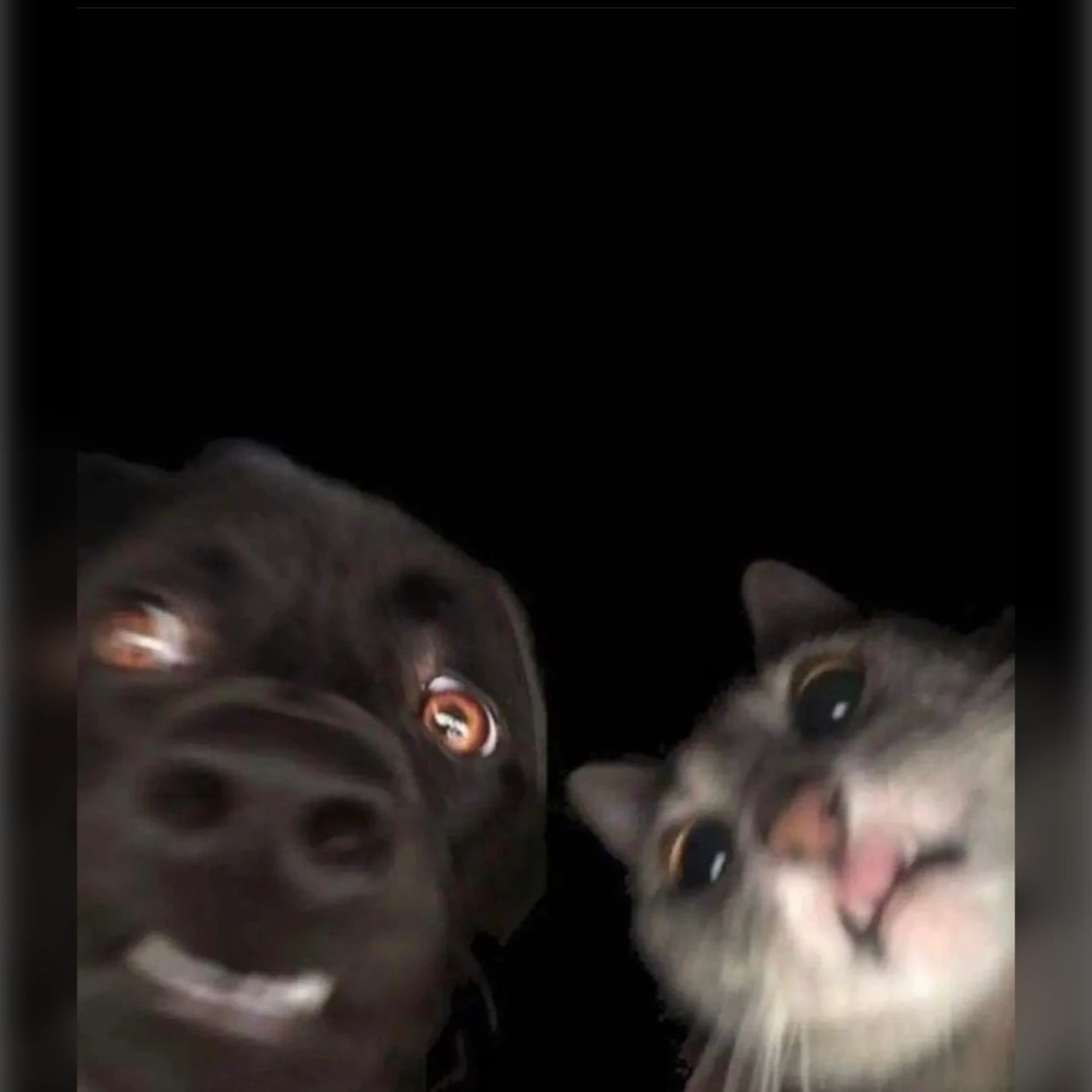 mick_en_mariek (this is a valentine’s special)