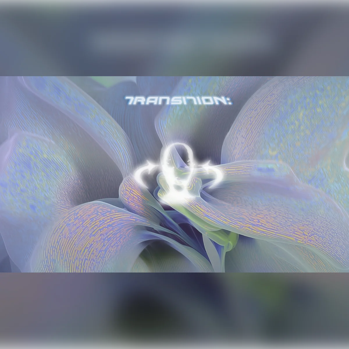 Transition: Lb Honne, charis & Bluehaven aka Stray Golden 