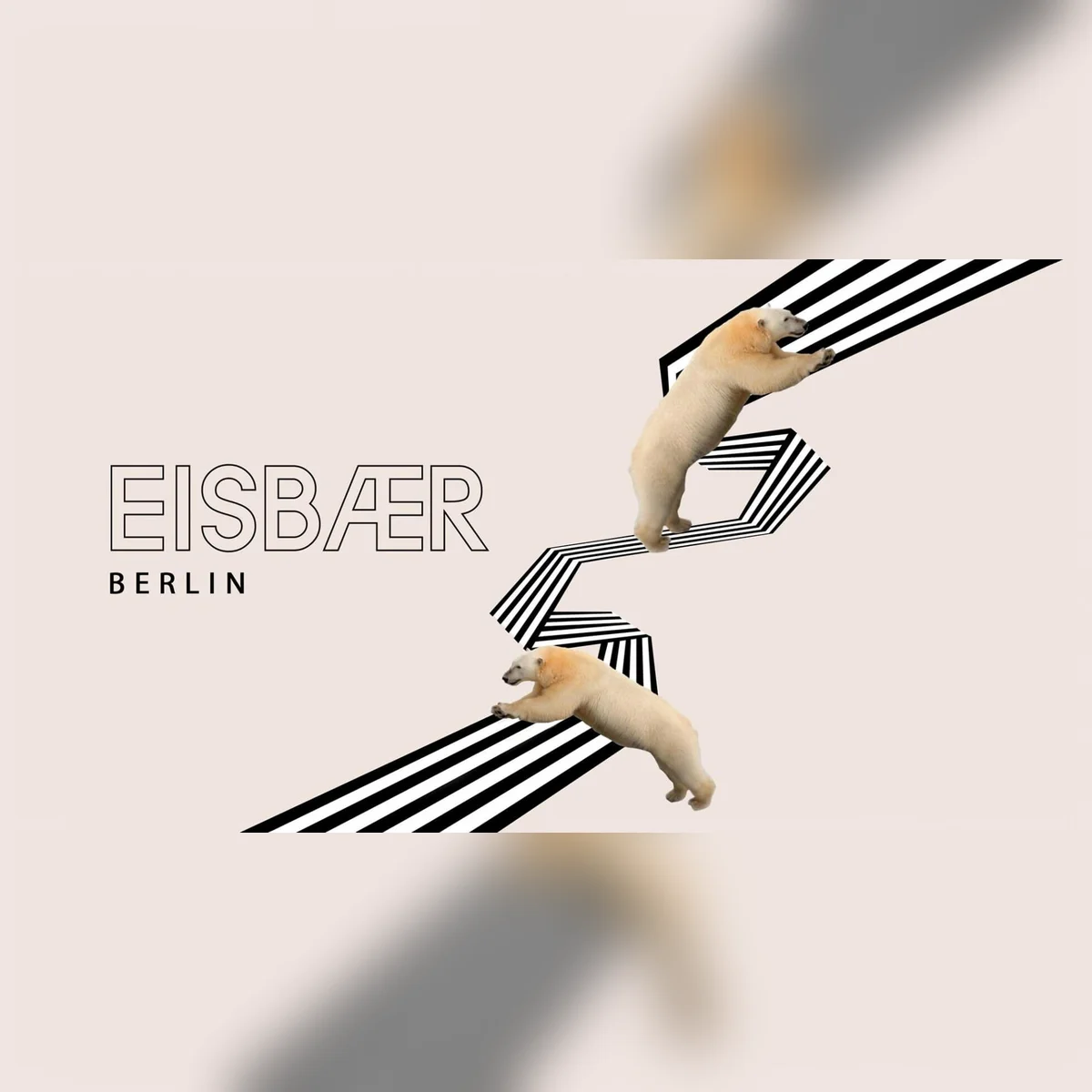 Eisbär