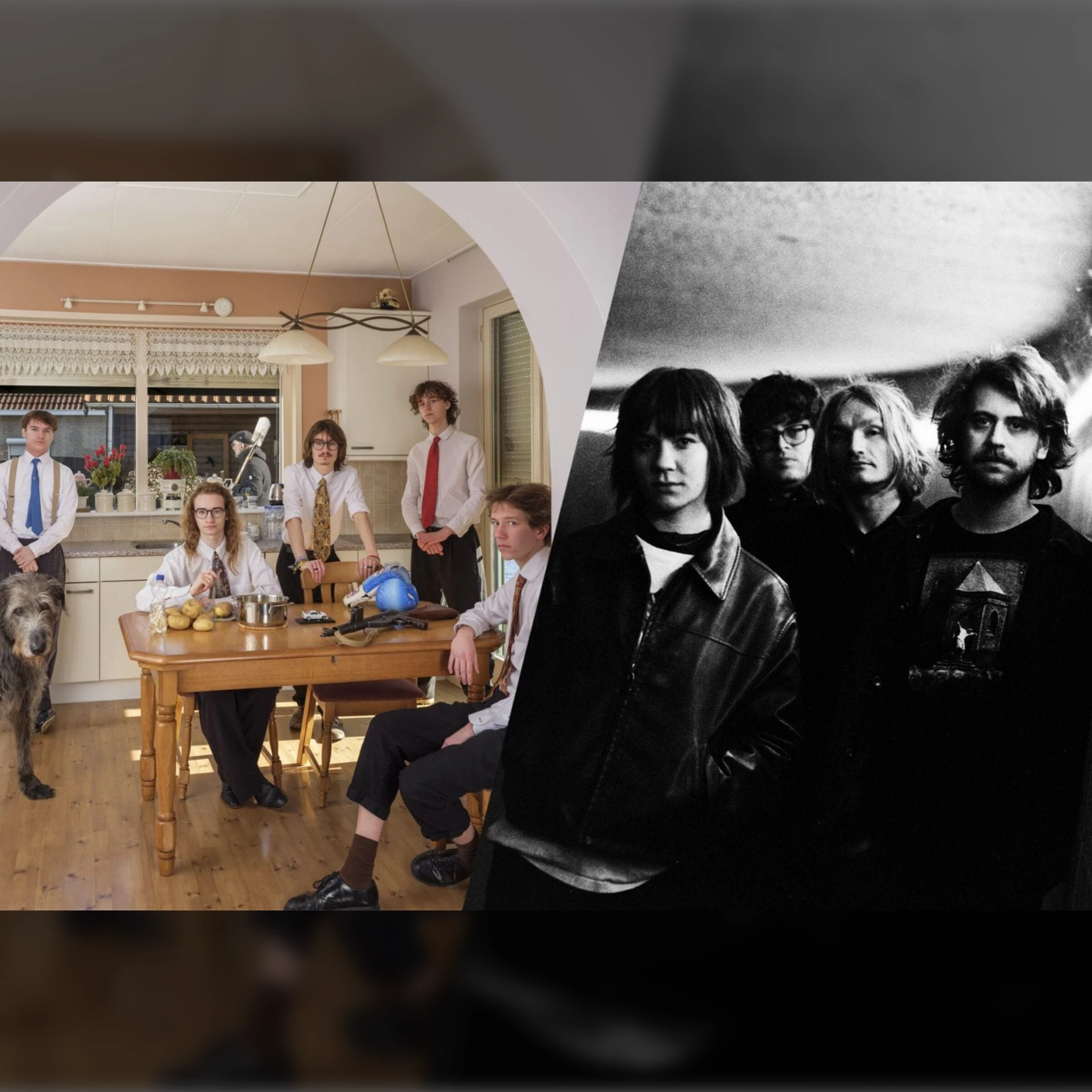 SØWT+ Large Yellowtail