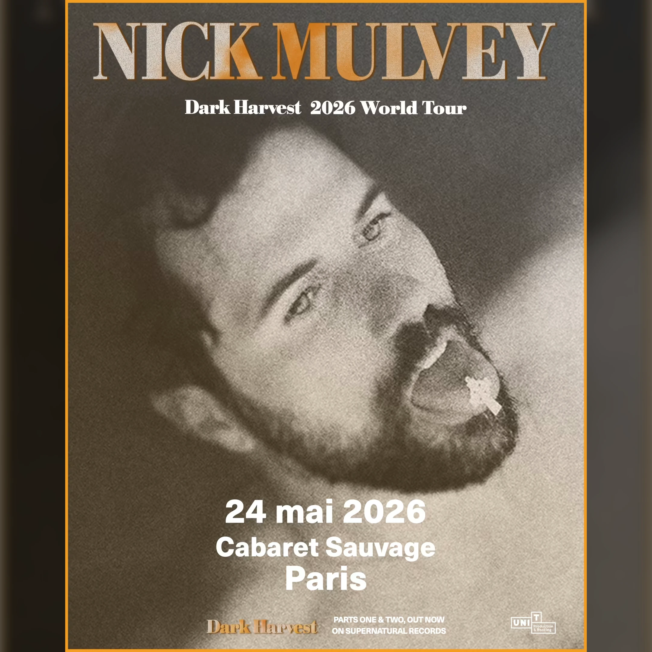 Nick Mulvey - Dark Harvest Tour