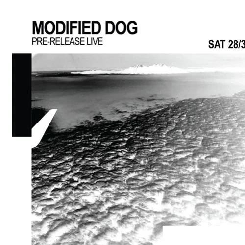 Modified Dog | Pre-release Live