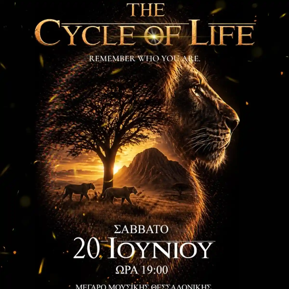 THE CYCLE OF LIFE