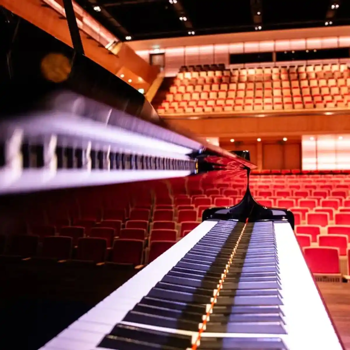 Lunchconcert — i.s.m. het Muziekinstrumentenfonds