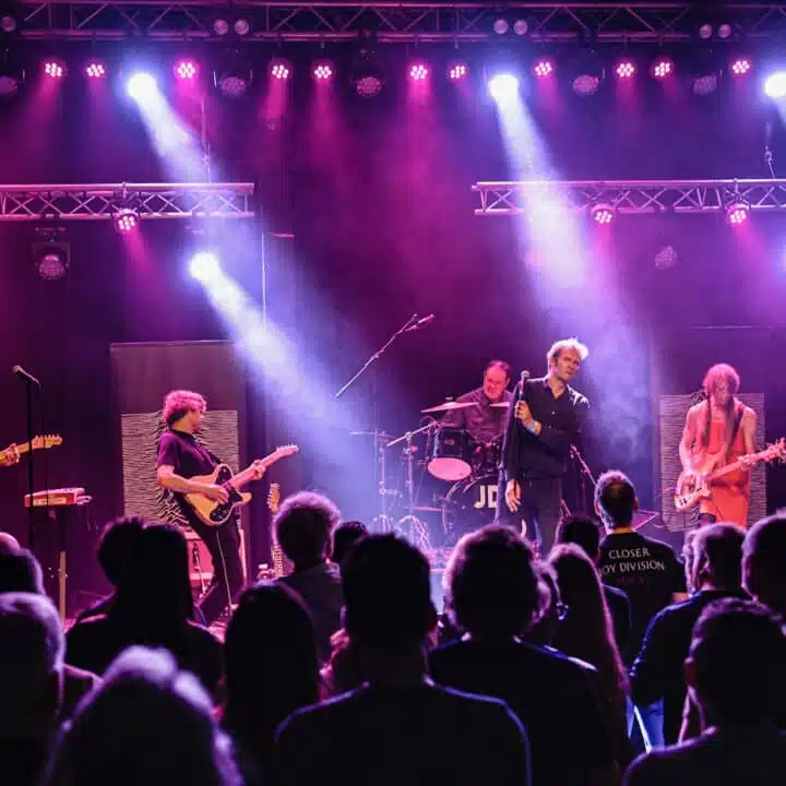 Joy Division Undercover