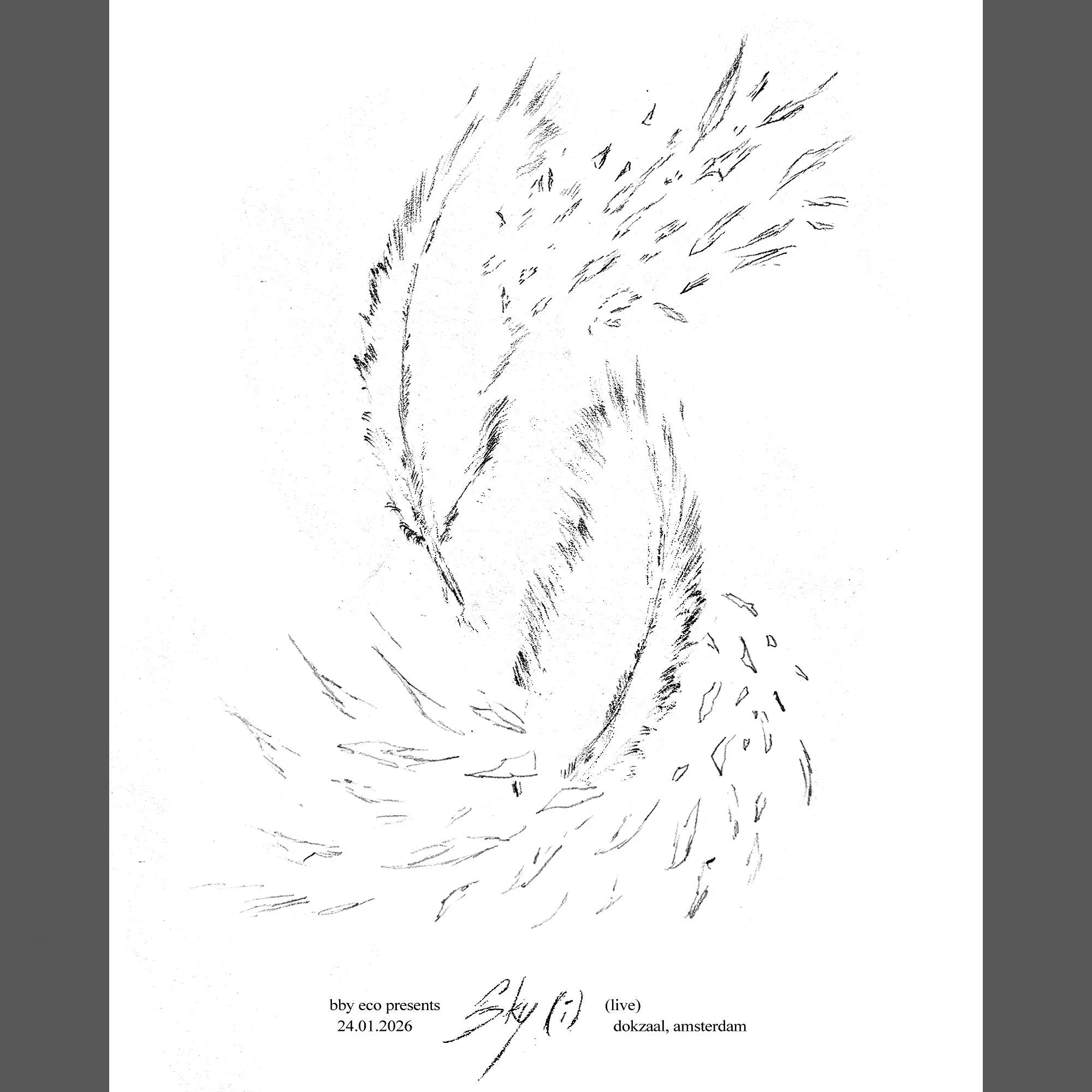 Bby Eco presents Sky Afterparty 