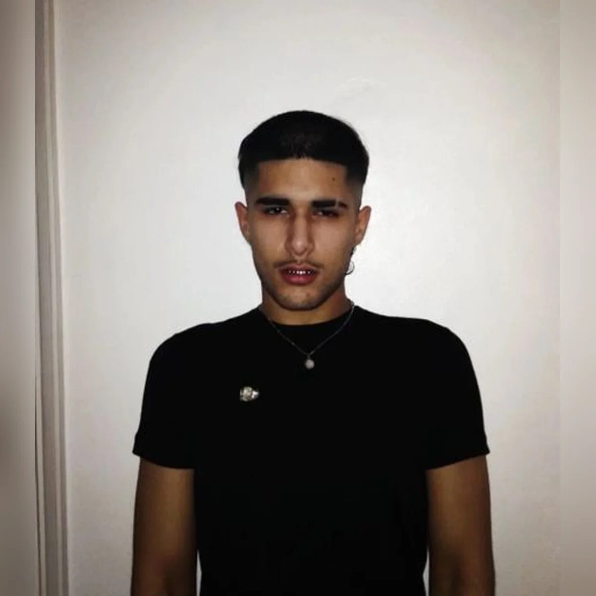 fakemink: a Terrible Beauty - The Tour