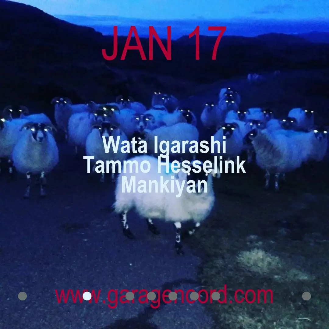 Wata Igarashi, Tammo Hesselink, Mankiyan