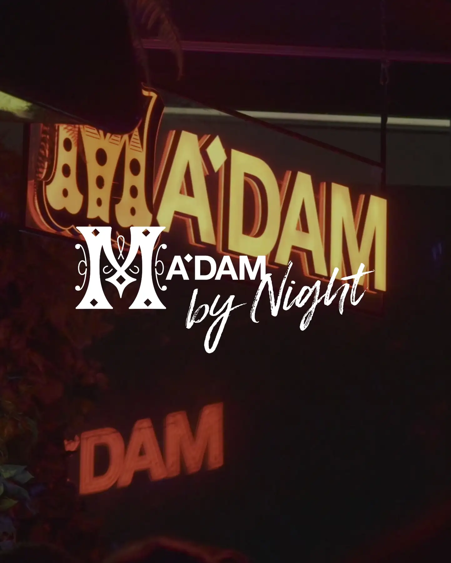 Cristina Lazic presents La Zic