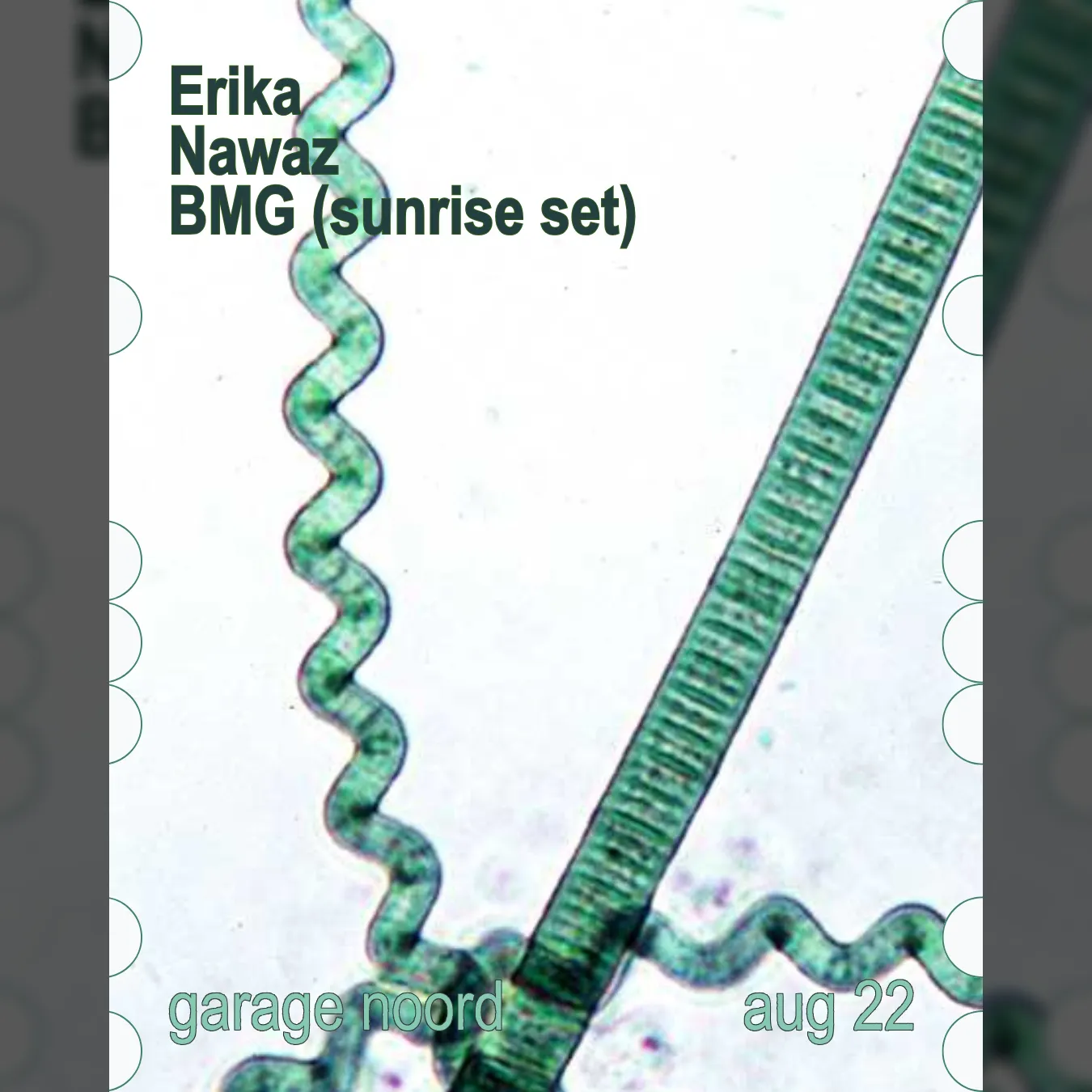 Erika, BMG, Nawaz (sunrise)