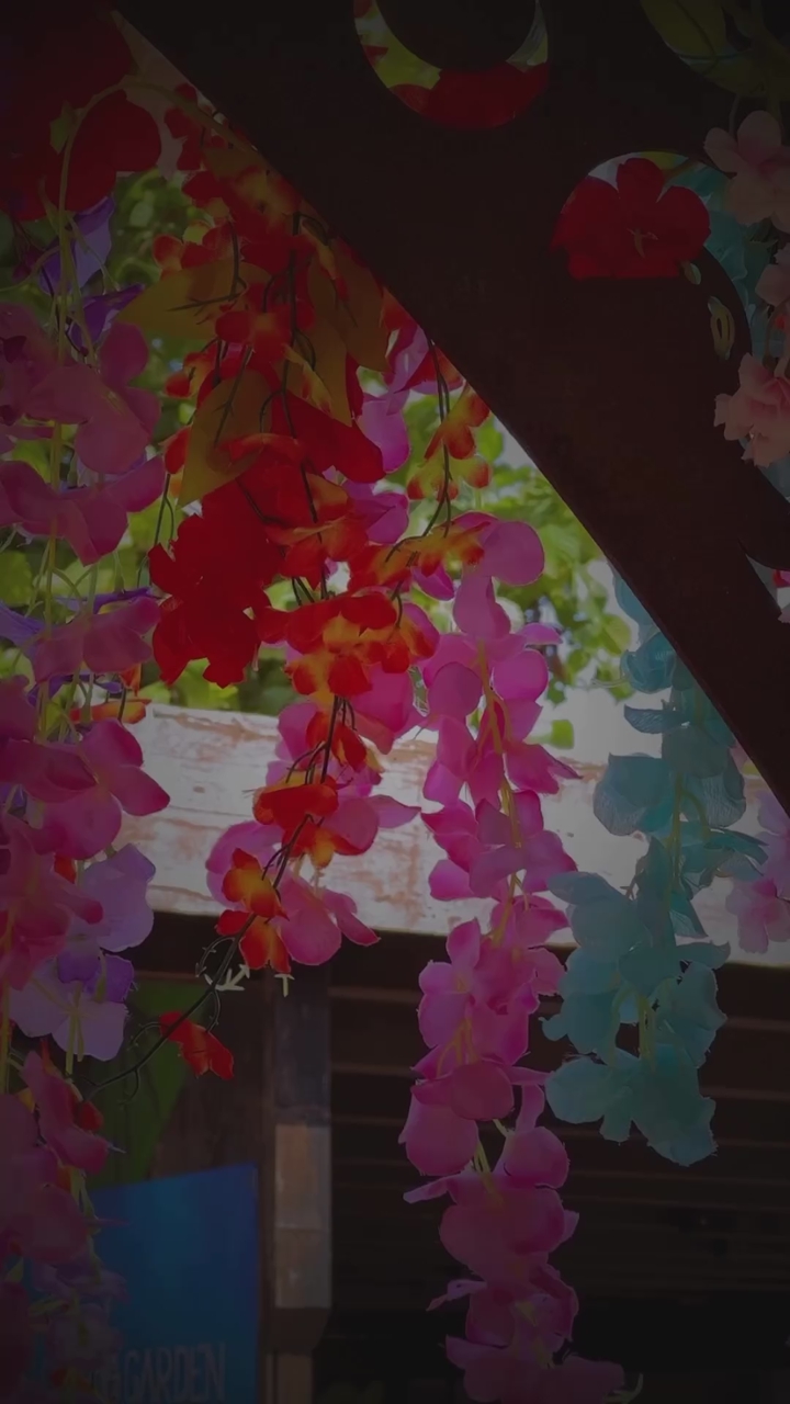 Teaser 1