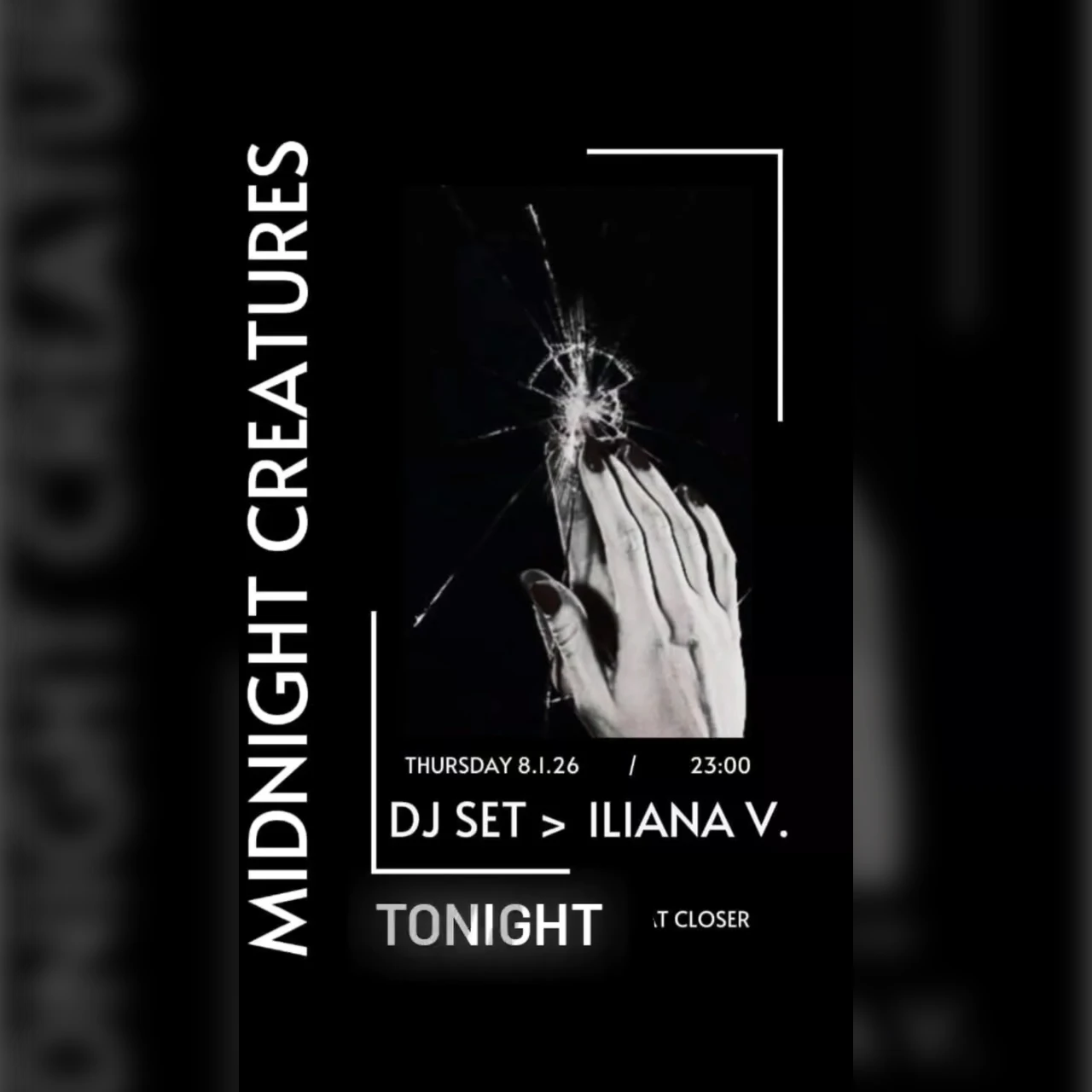 MIDNIGHT CREATURES