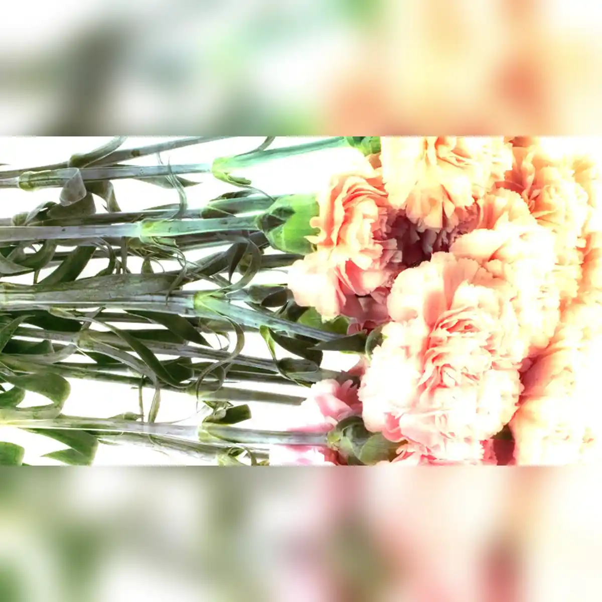 WOCHENMITTE: Manu Strasse b2b Adron