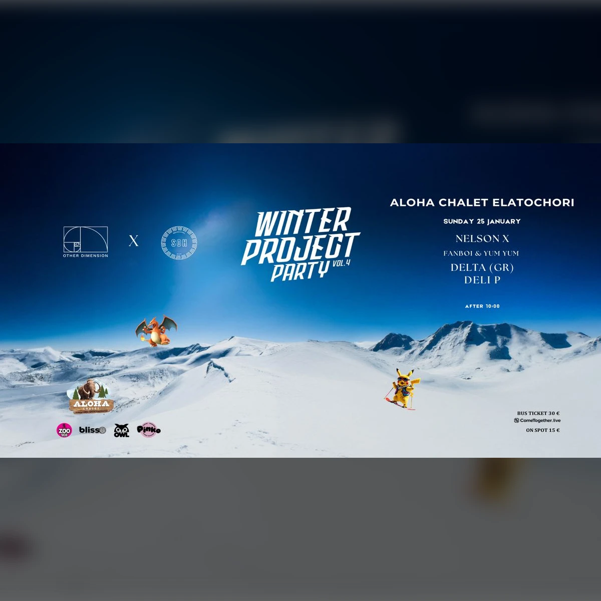 Winter Project Party