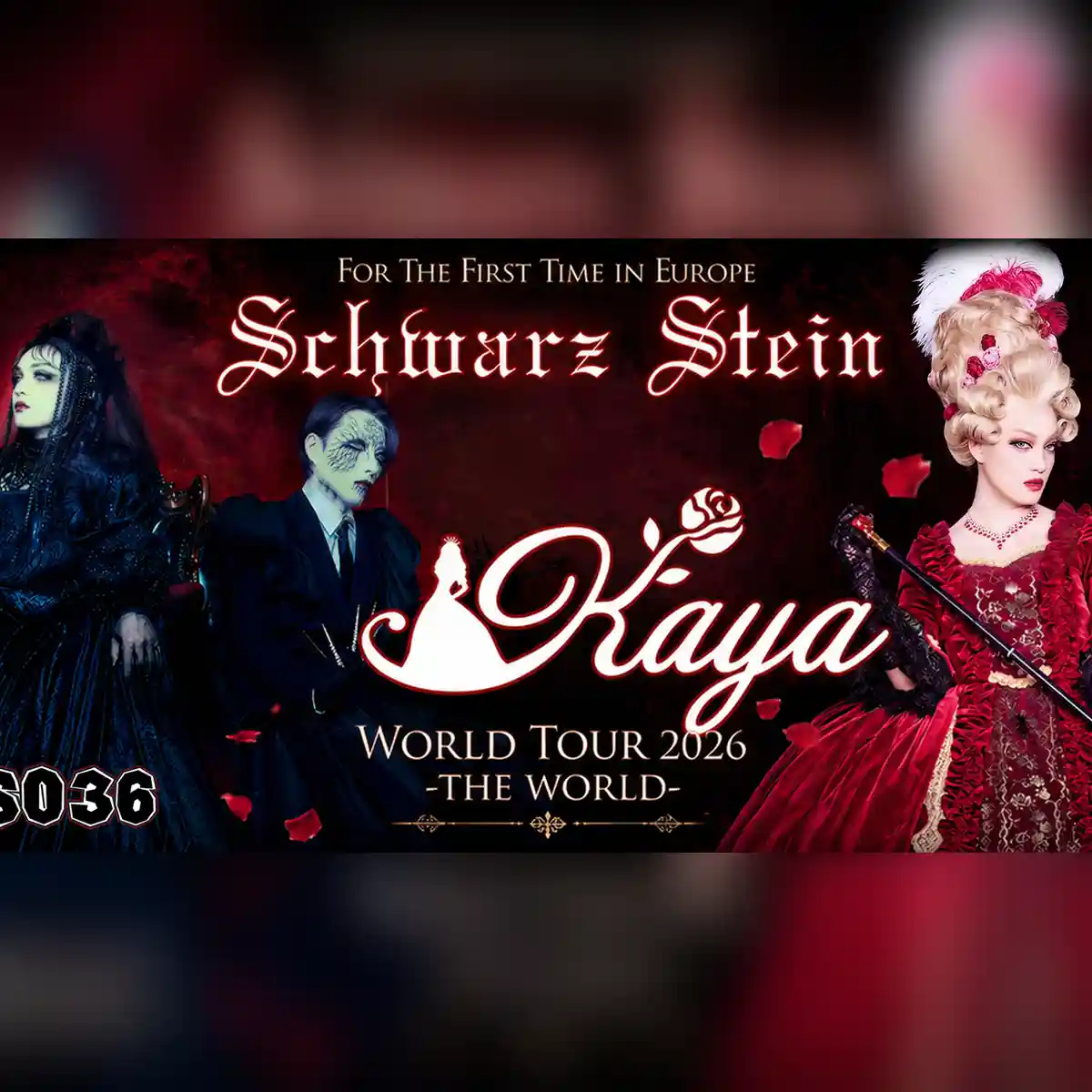 SCHWARZ STEIN & Kaya: World Tour 2026 -THE WORLD-