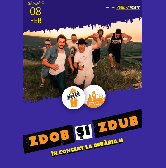 Zdob și Zdub în concert