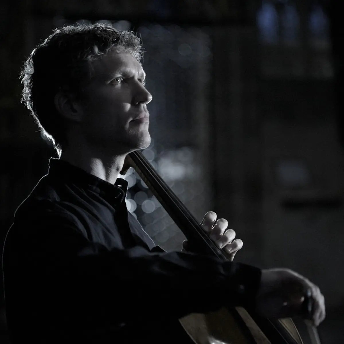 CELLOFEST: 51 strings