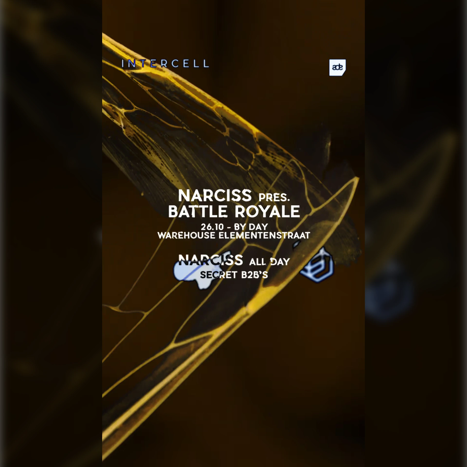 Intercell x Narciss pres. Battle Royale - ADE By Day