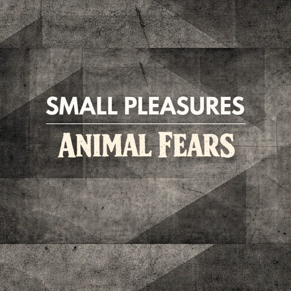 SMALL PLEASURES (post-punk-duo, can)