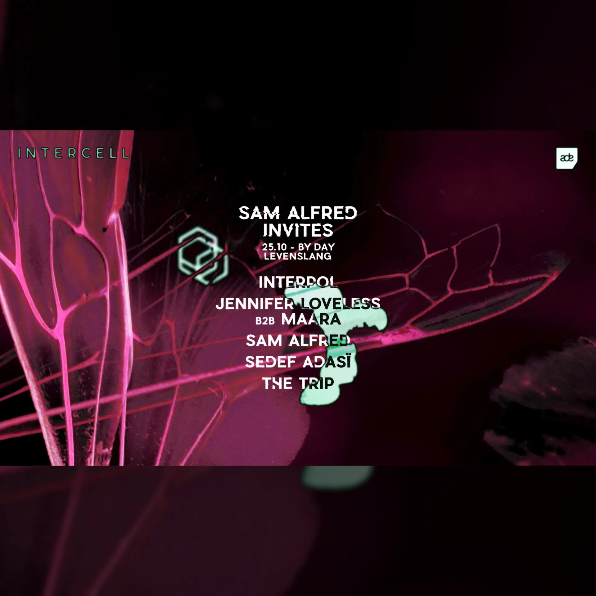 Intercell x Sam Alfred Invites - ADE By Day