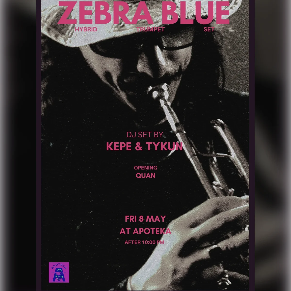 ZEBRA BLUE Hybrid Set
