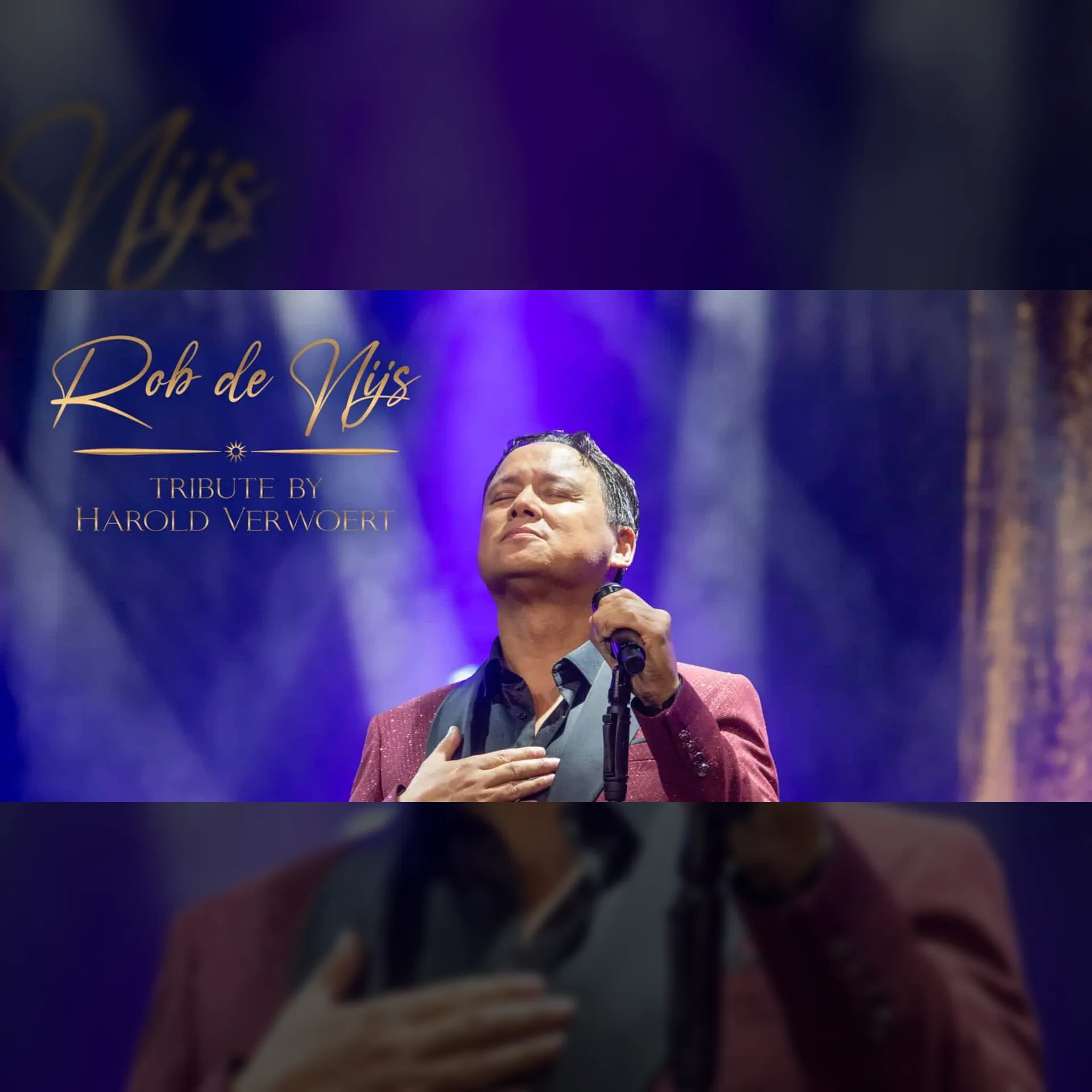 Rob de Nijs Tribute 