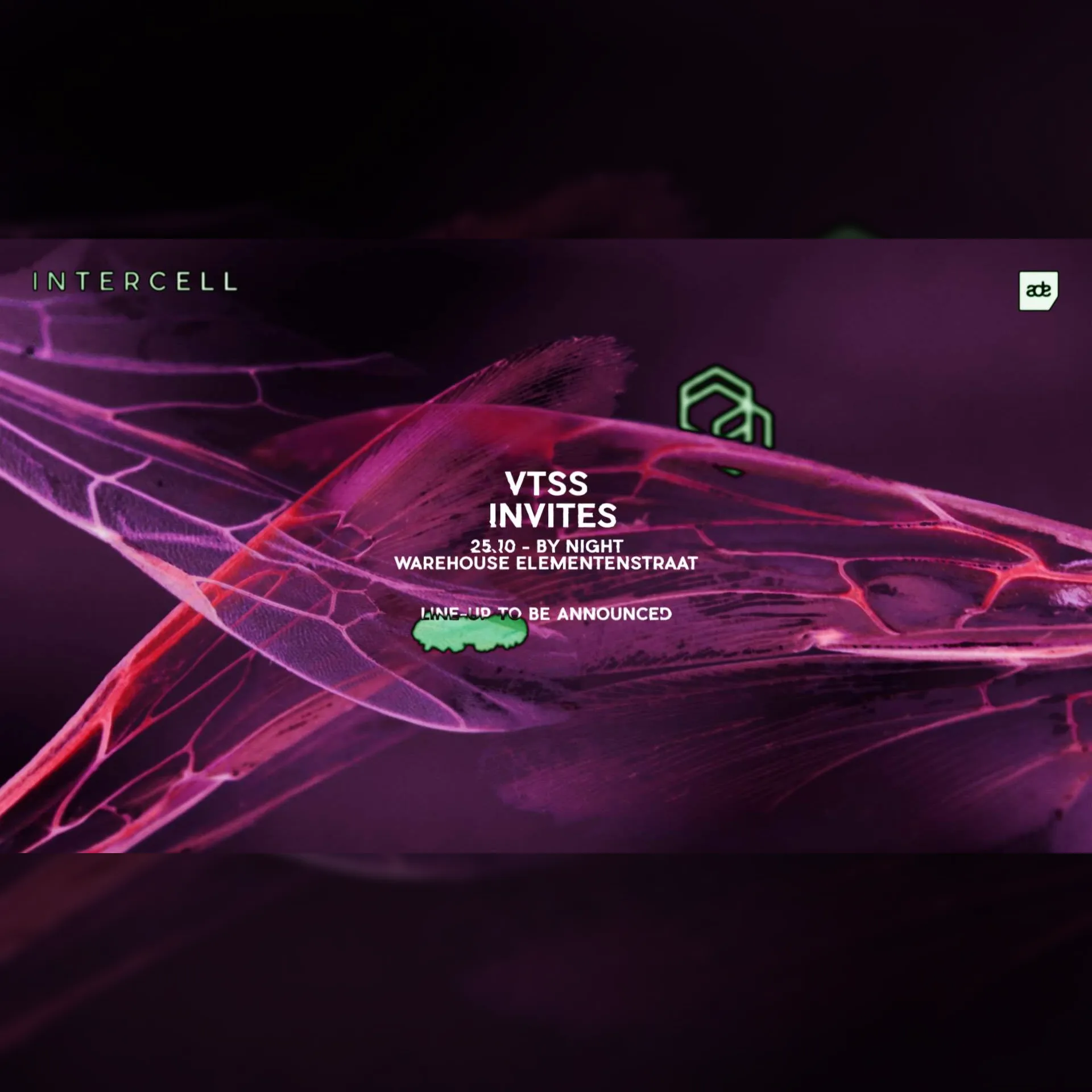 Intercell x VTSS Invites - ADE By Night