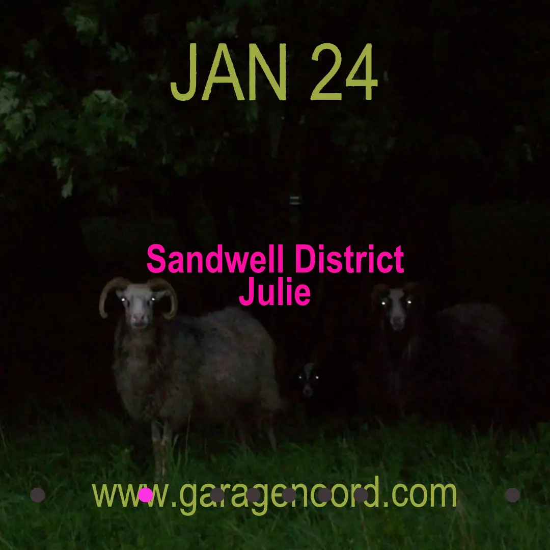 Sandwell District, Julie