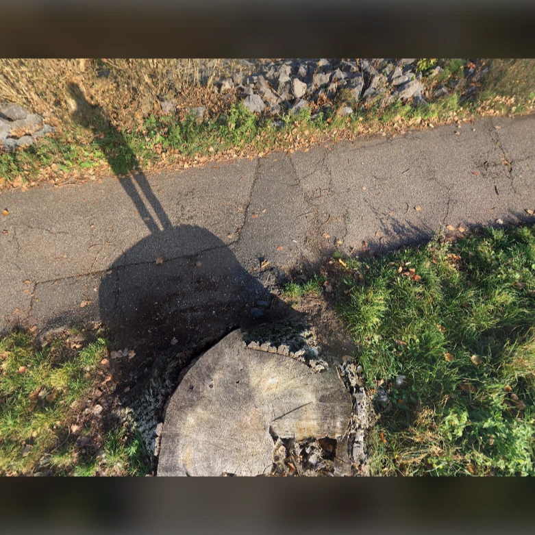 WORM SOUND STUDIO NIGHT with lots and lots of people playing