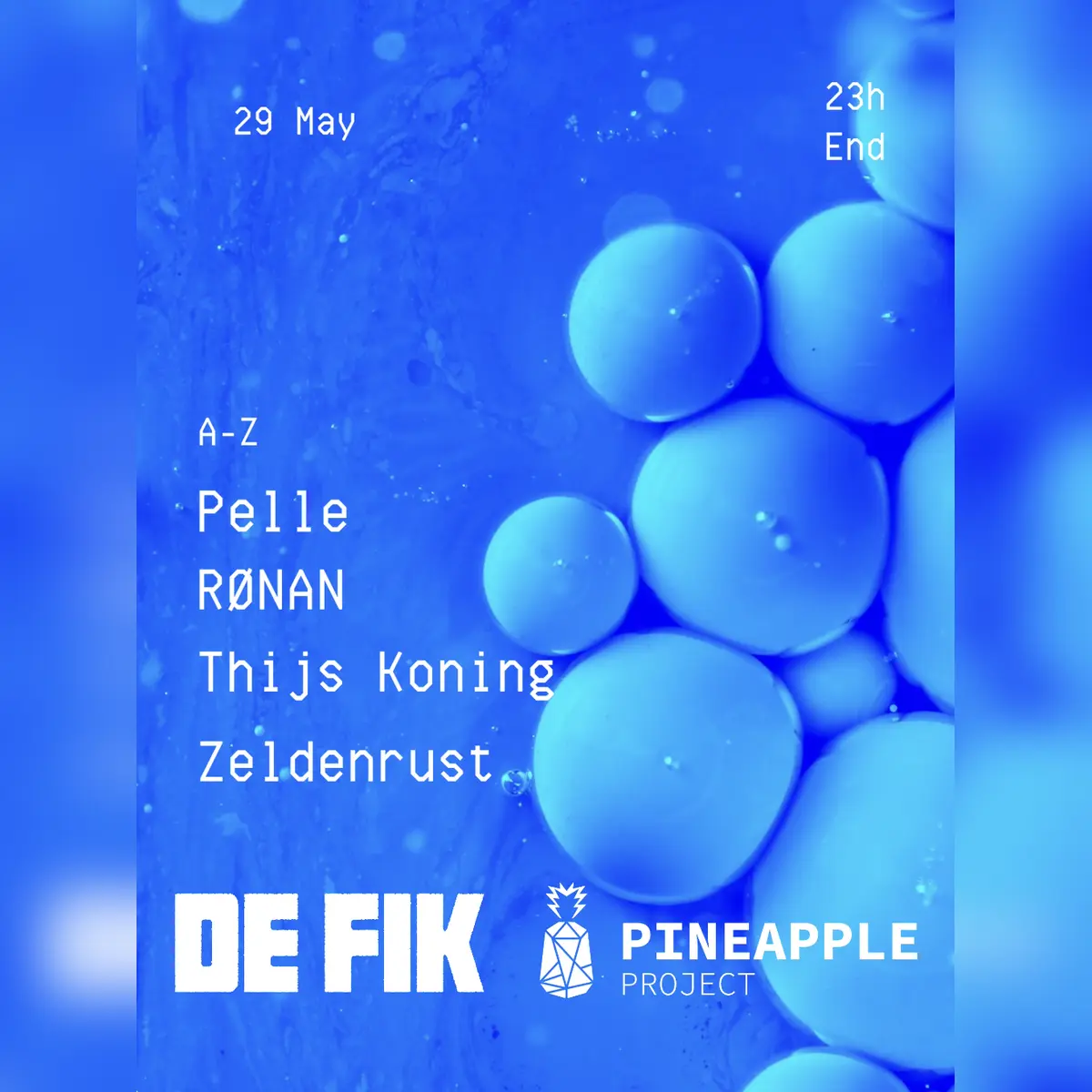 Pineapple Project